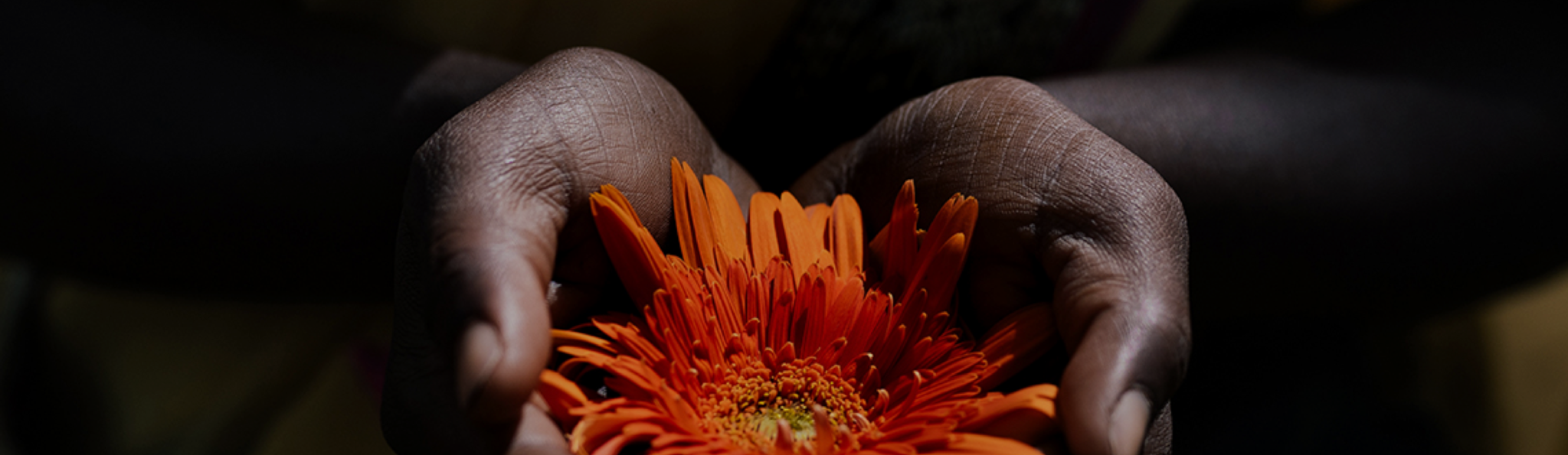 Seven Brave Survivors Hands