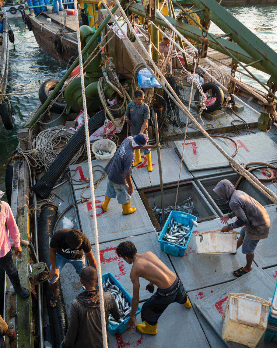Thai fishermen mres