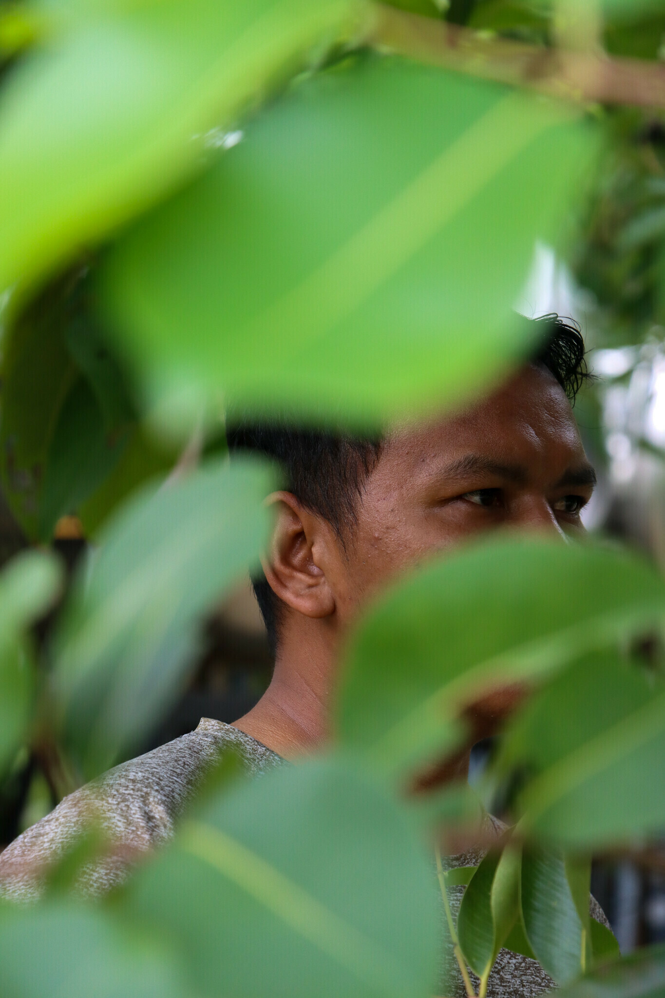 Andi Cambodia Survivor 202310 Cam Andi Survivor Approved for Full Use 1