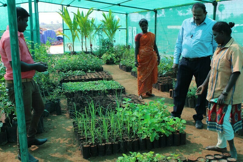 Government Establishes New Herb Garden Business