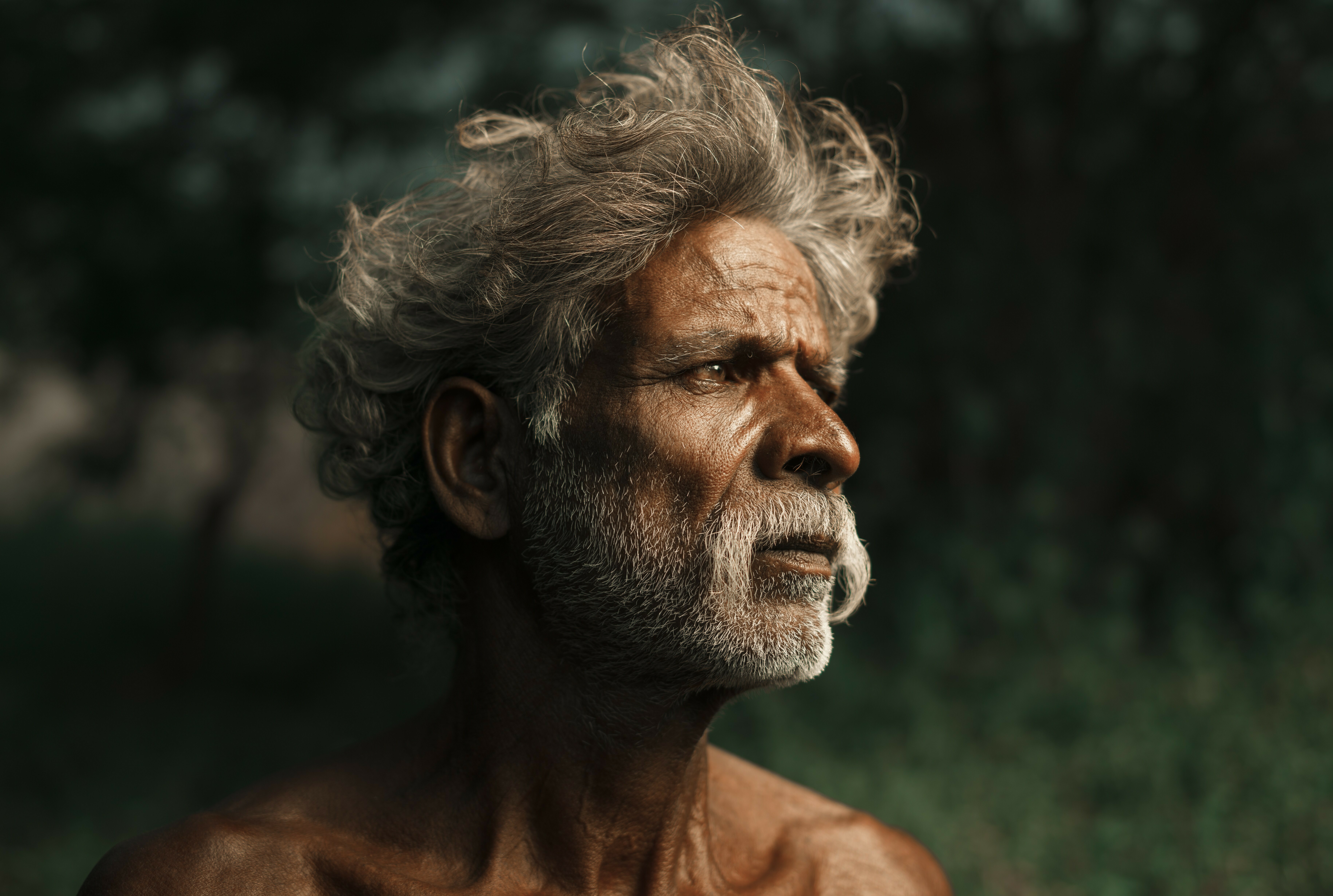 JS 20161110 031208 jpg 201611 Slavery India Wood Cutting Approved for Full Use